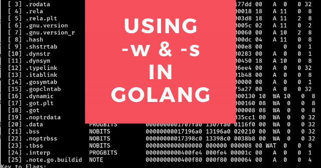 Using -w & -s flags in Golang testing
