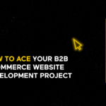 How To Ace Your B2B eCommerce Website Development Project