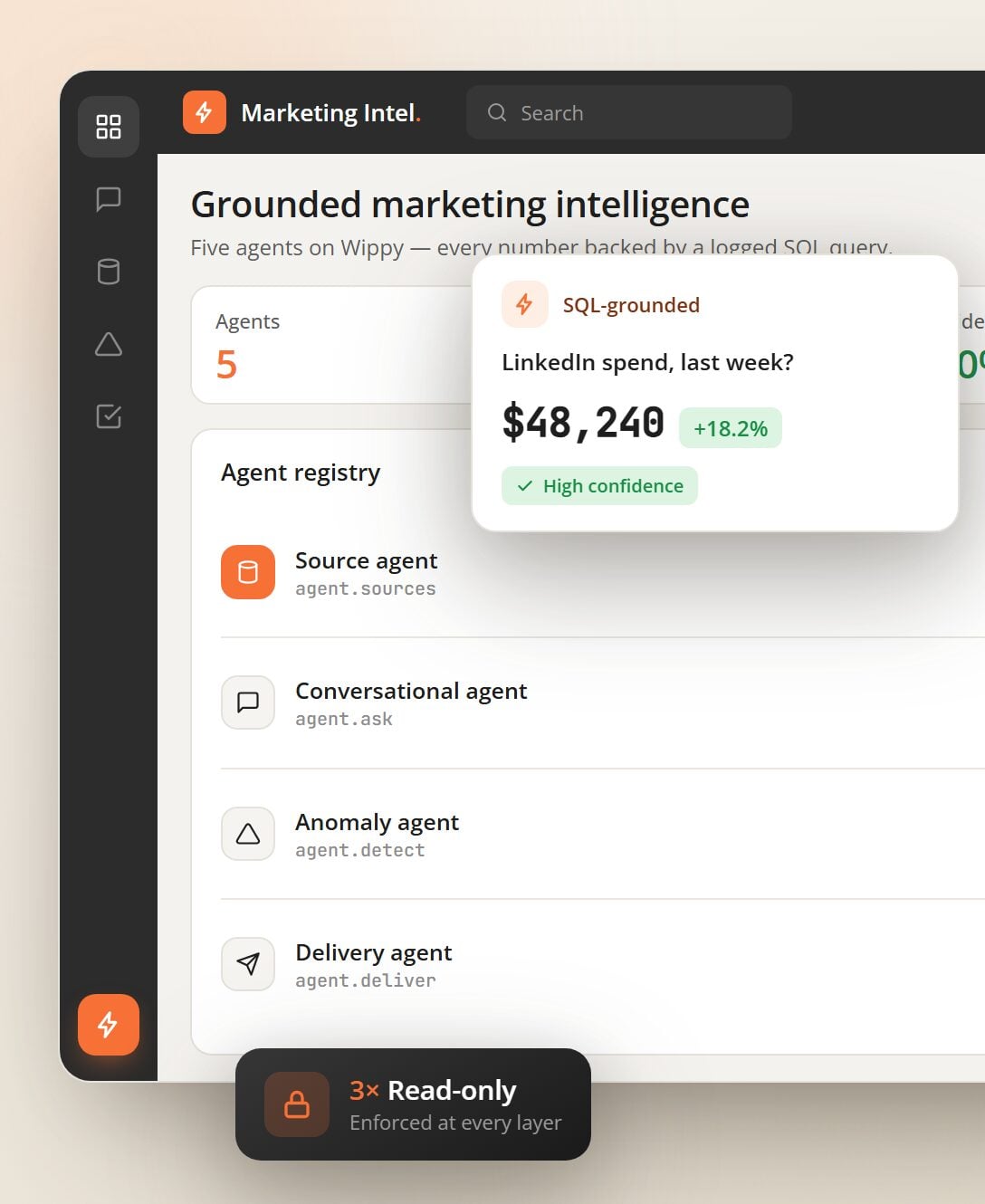 Preview of the marketing intelligence case study
