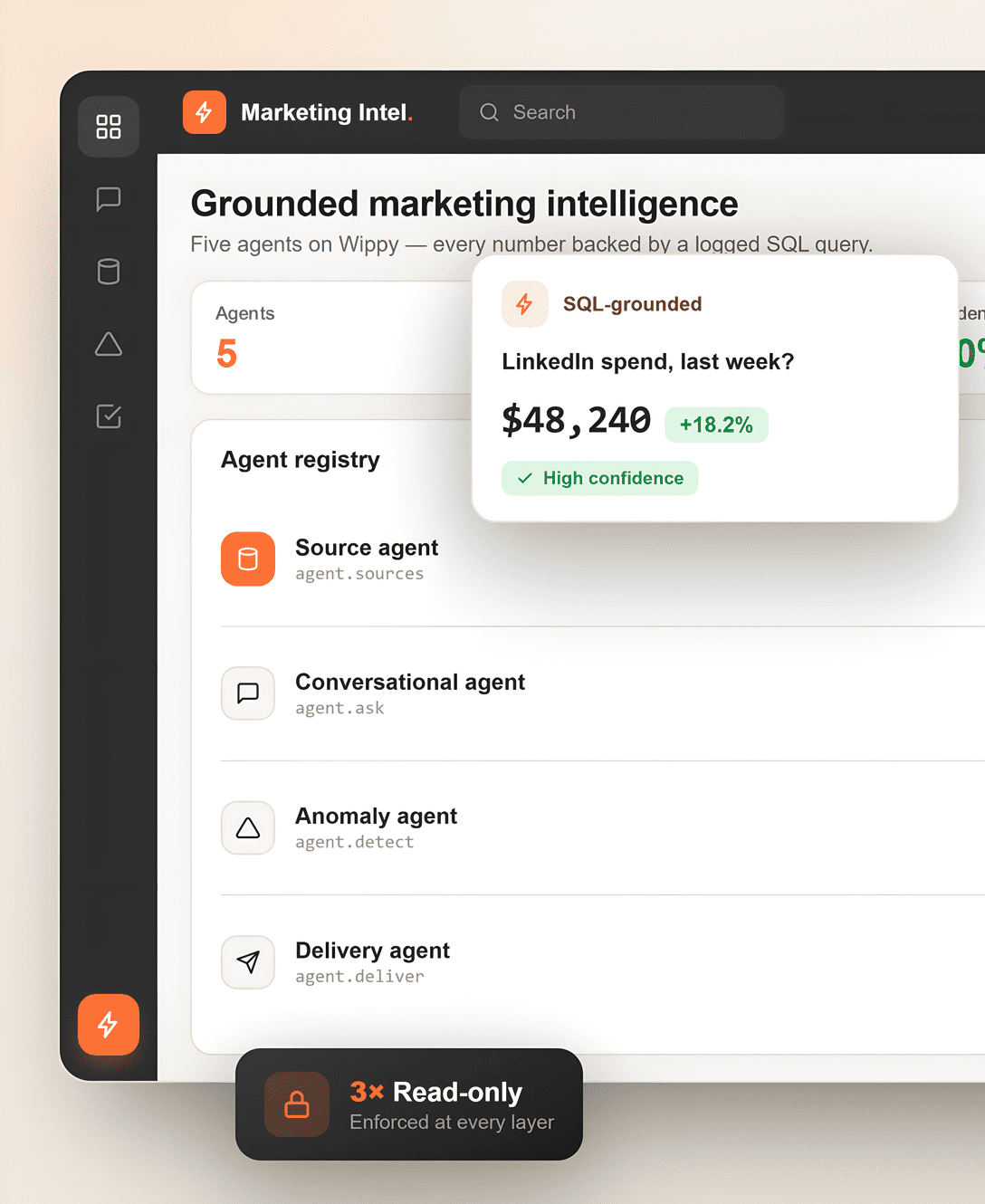 Preview of the marketing intelligence case study